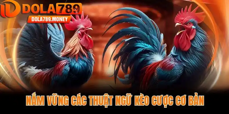 Nắm vững các thuật ngữ kèo cược cơ bản