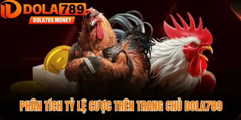 Phân tích tỷ lệ cược trên trang chủ Dola789