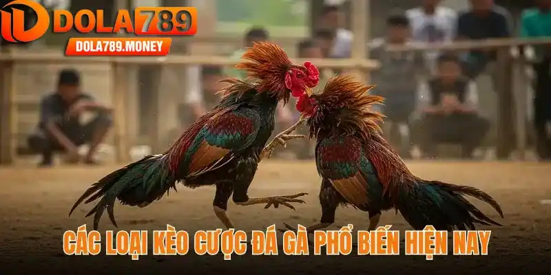 Các loại kèo cược đá gà phổ biến hiện nay