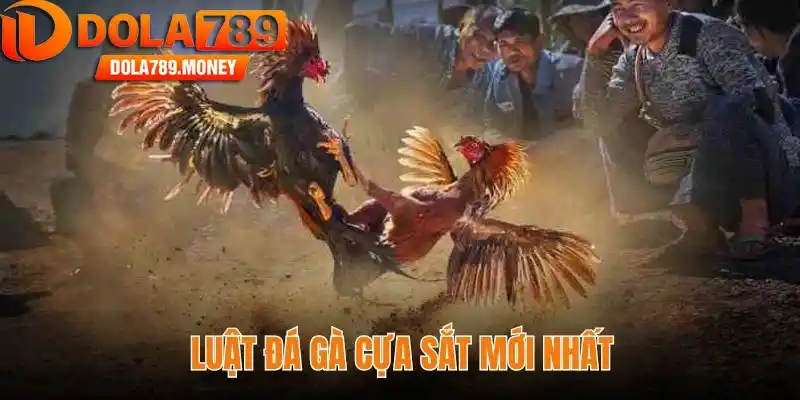 Luật đá gà cựa sắt 2025 - Toàn bộ quy tắc cho người chơi mới
